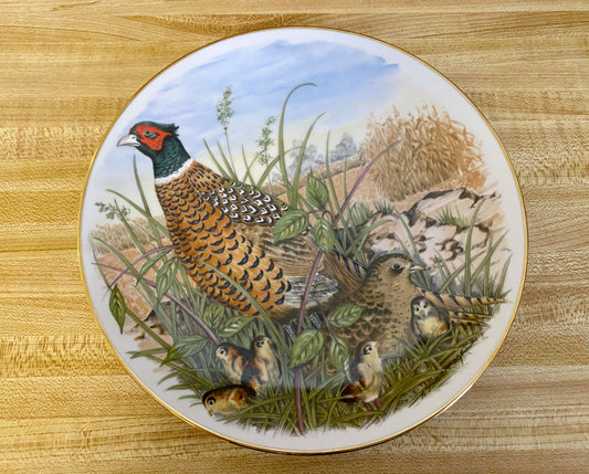 Game Birds of the South Decorative Plate: Ring-Necked Pheasant