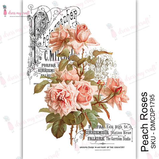 Peach Roses Transfer